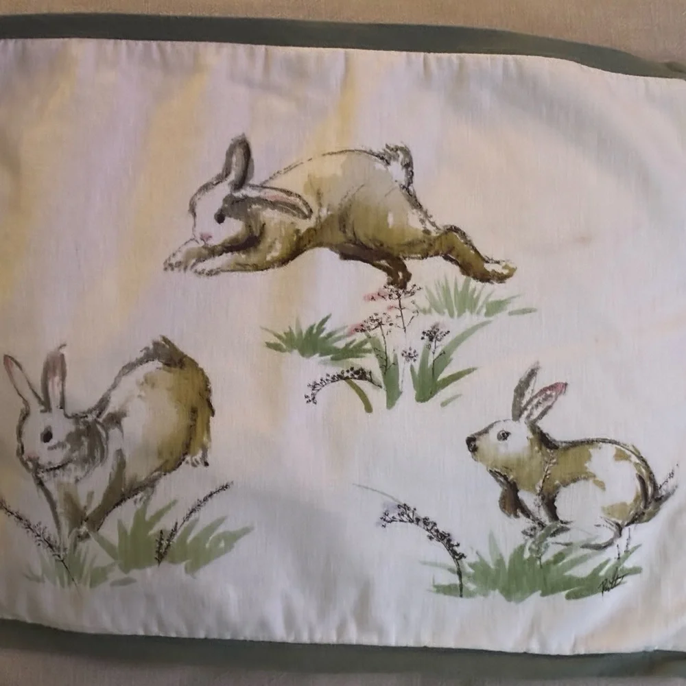 Pottery Barn Festive Bunny Pillow - Green and Cream